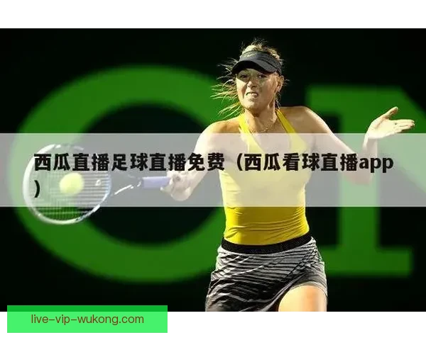 哪些app可以观看足球直播?推荐几款实用的足球直播平台 哪些app可以观看足球直播?推荐几款实用的足球直播平台